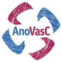 logo Anovasc