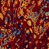 motif liquide 2026 marron